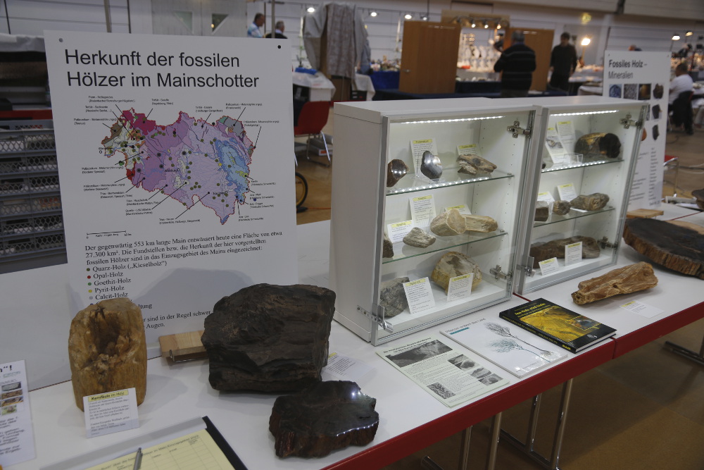 Sonderausstellung versteinertes Holz